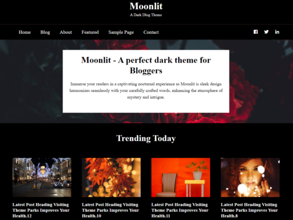 Moonlit Dark WordPress Blog Theme