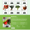 Organica Store Premium WordPress Theme - Image 2