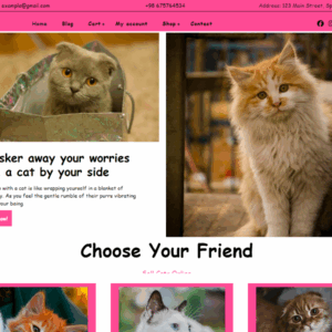 Cat Ecommerce Premium WordPress Theme Lifetime