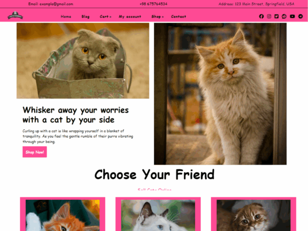 Cat Ecommerce Premium WordPress Theme Lifetime