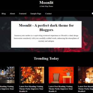 Moonlit Dark Blog Theme Lifetime