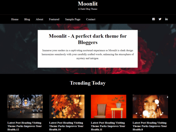 Moonlit Dark Blog Theme Lifetime