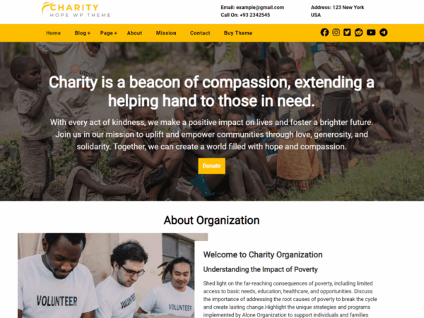 CA Charity Hope Premium Theme Lifetime